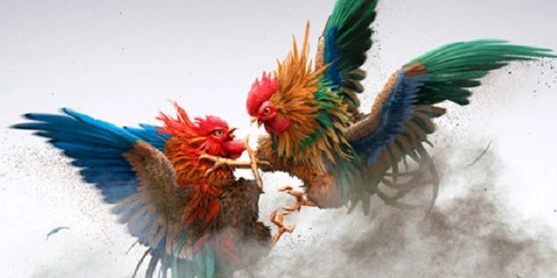 Cách đăng ký tham gia trò chơi