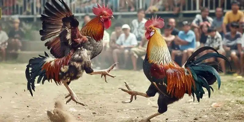 Một số tính năng nổi bật của trò chơi